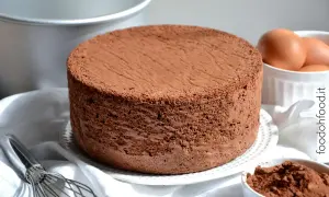 Un soffice pan di spagna al cacao, pronto per essere farcito. Ingredienti freschi come uova e cacao in polvere completano la scena.